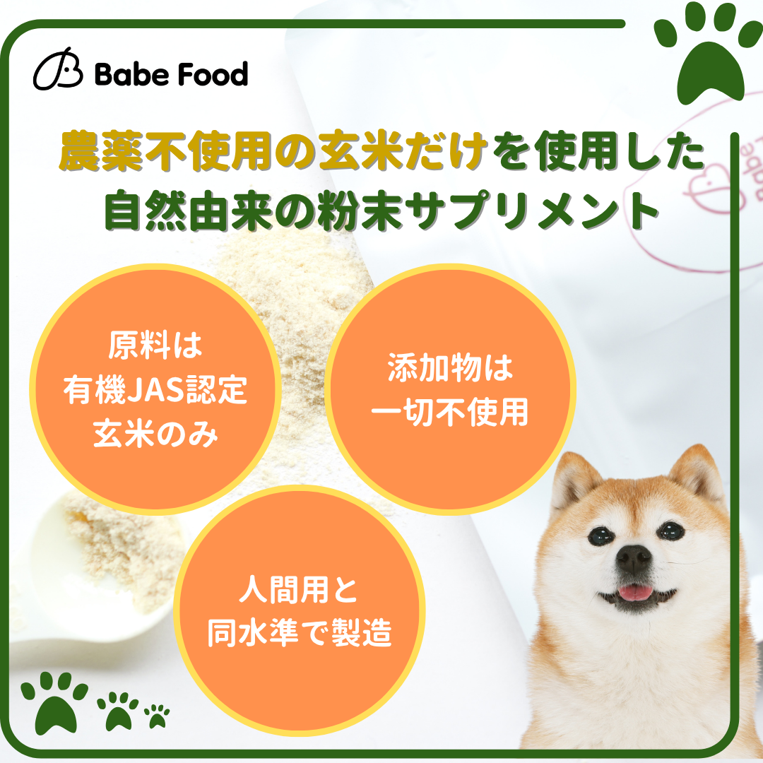 玄米麹100%天然サプリメント