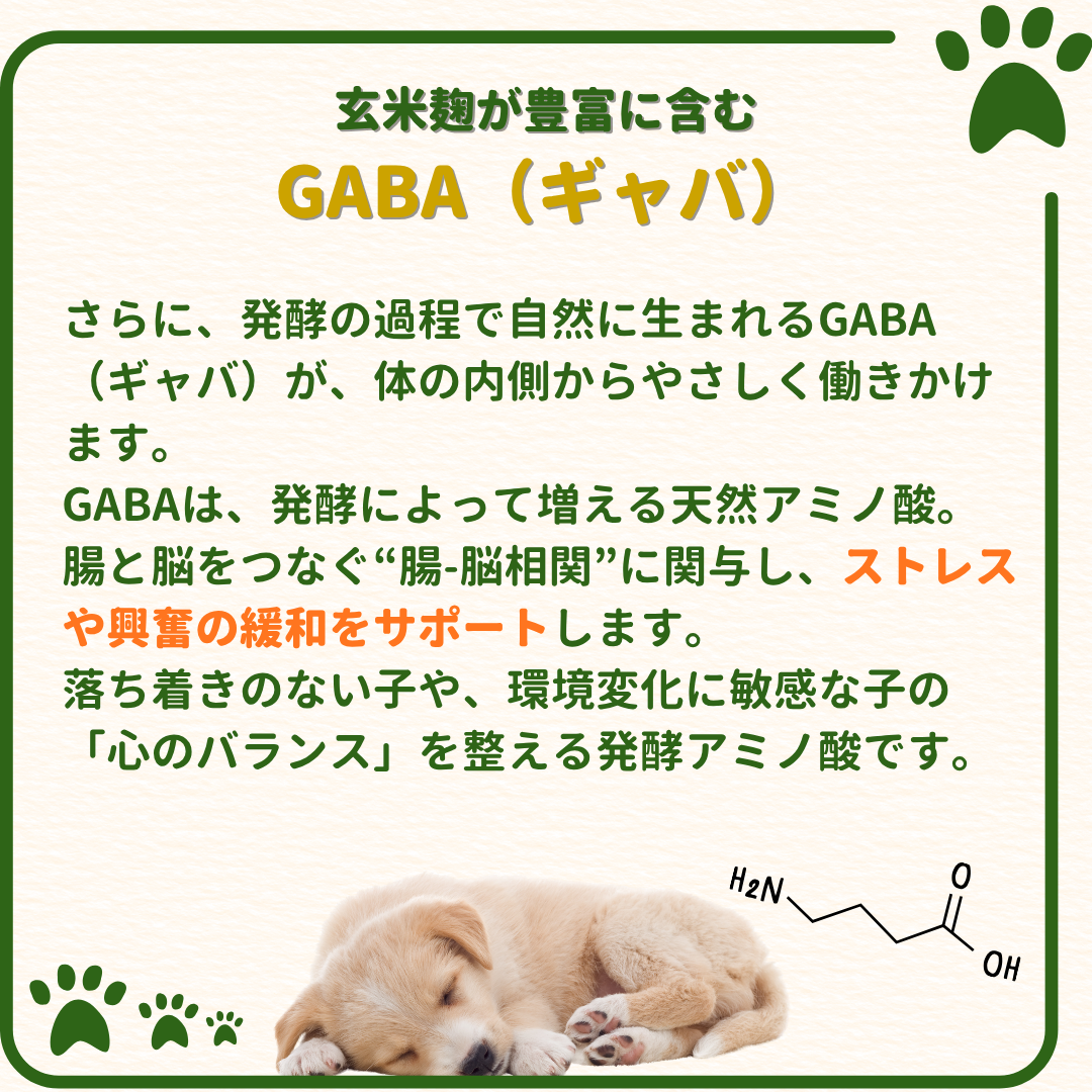 玄米麹100%天然サプリメント