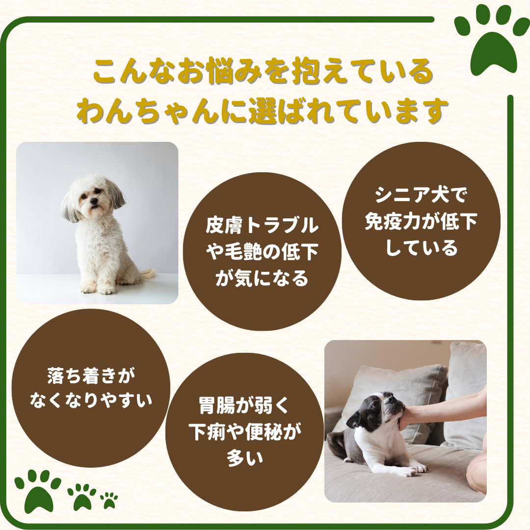 玄米麹100%天然サプリメント