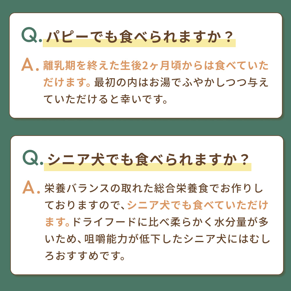 【季節限定】秋鮭ときのこのハンバーグ