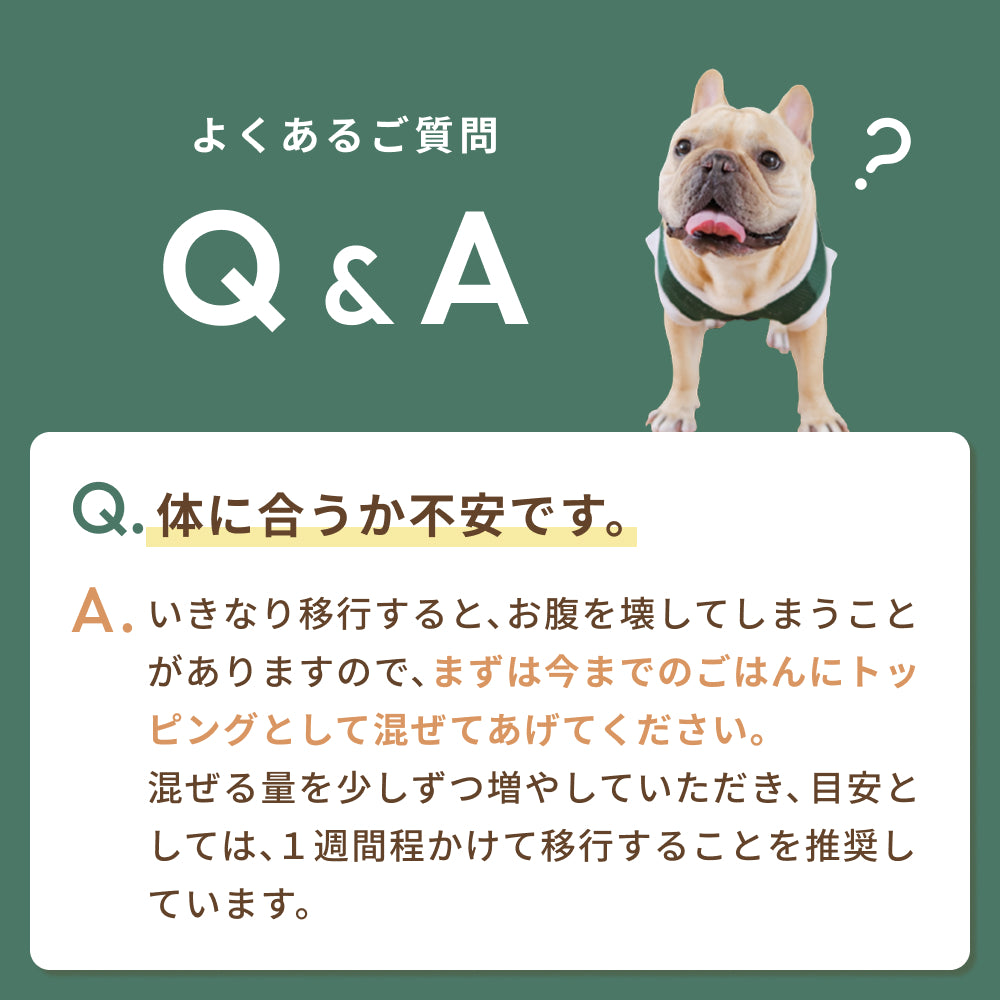 【季節限定】秋鮭ときのこのハンバーグ
