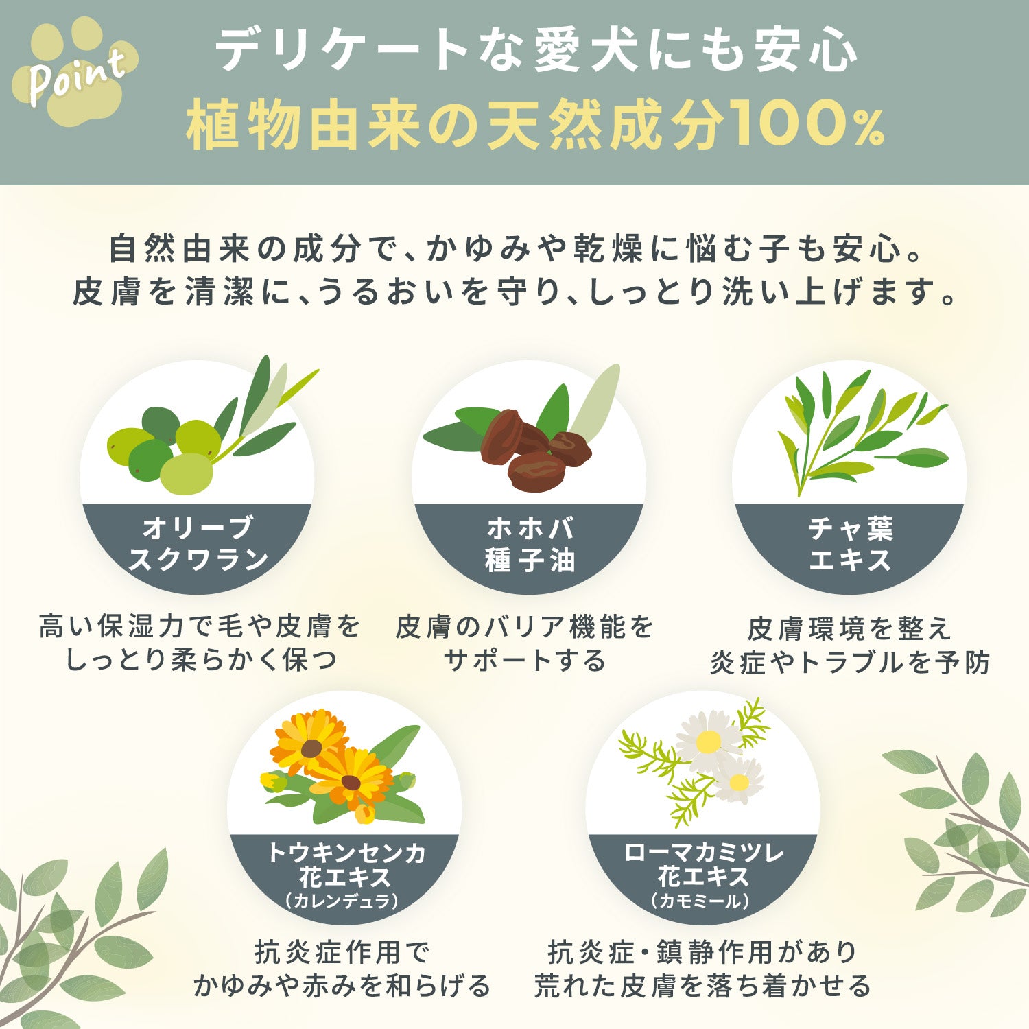 ベイブケア ナチュラルシャンプー