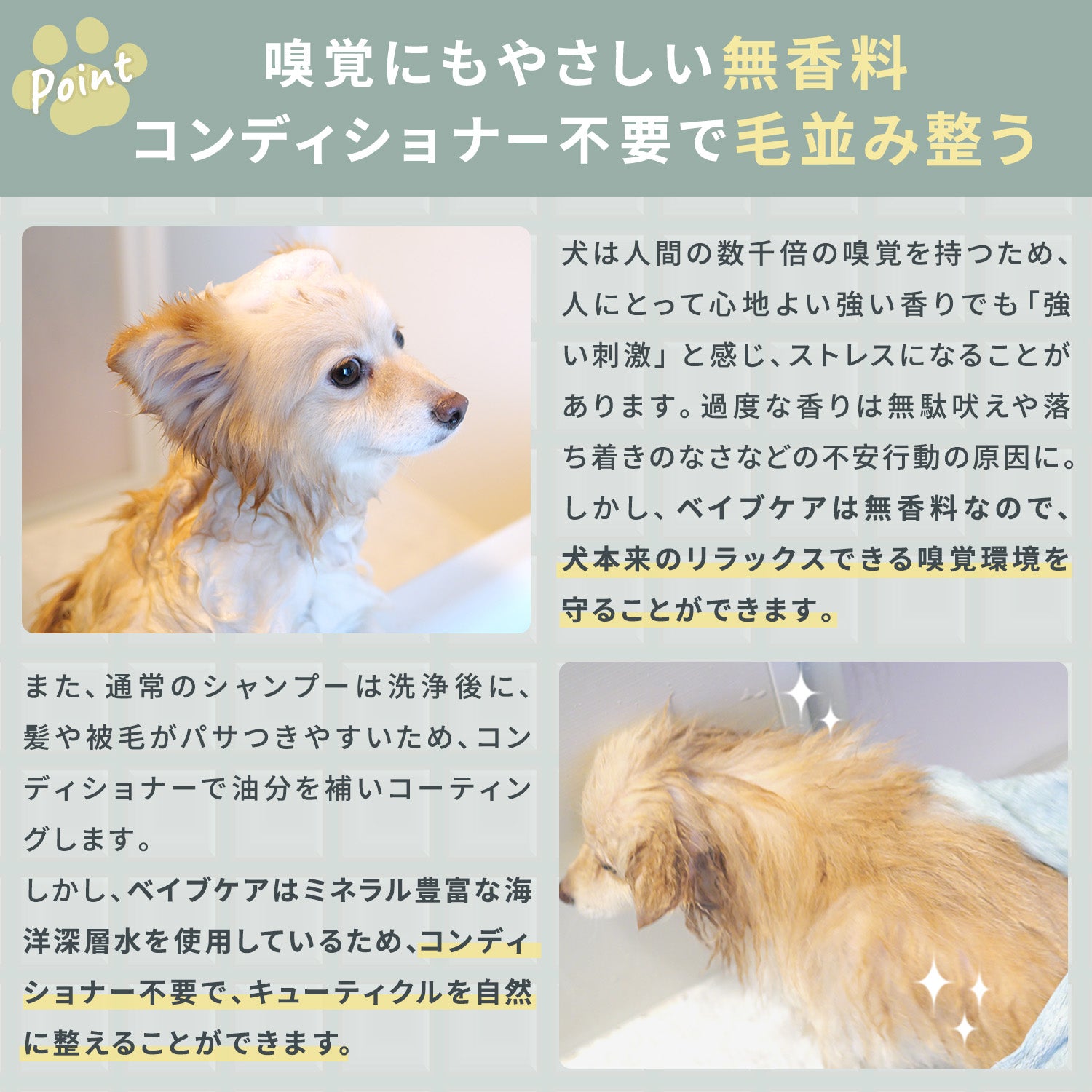 ベイブケア ナチュラルシャンプー