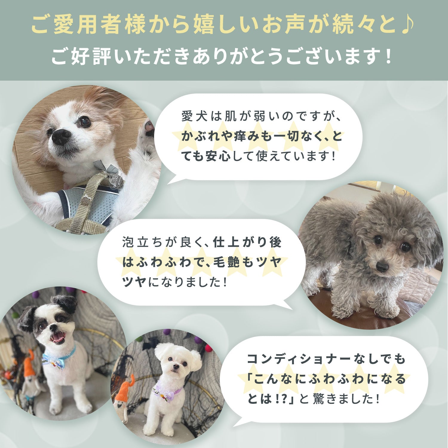 ベイブケア ナチュラルシャンプー