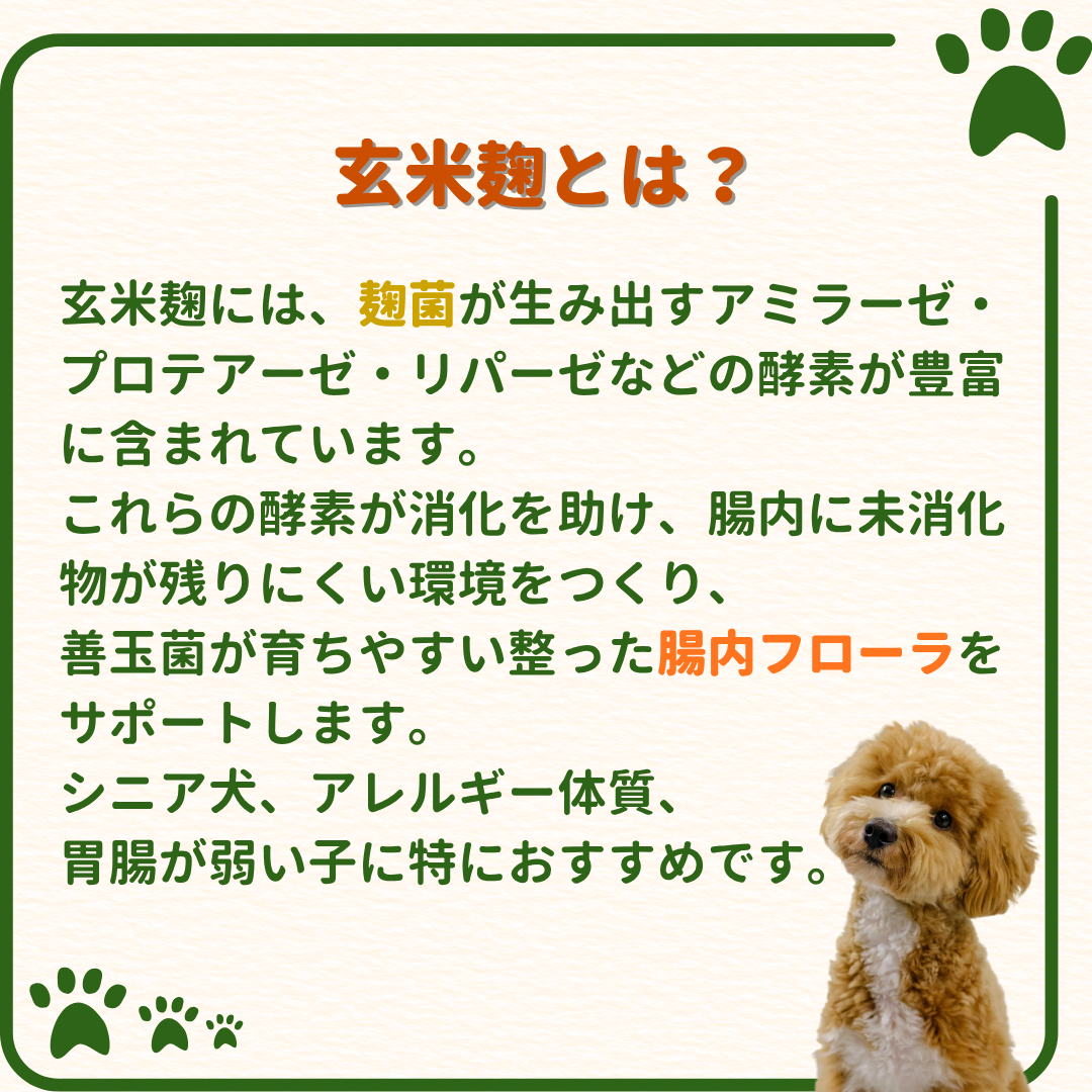 玄米麹100%天然サプリメント