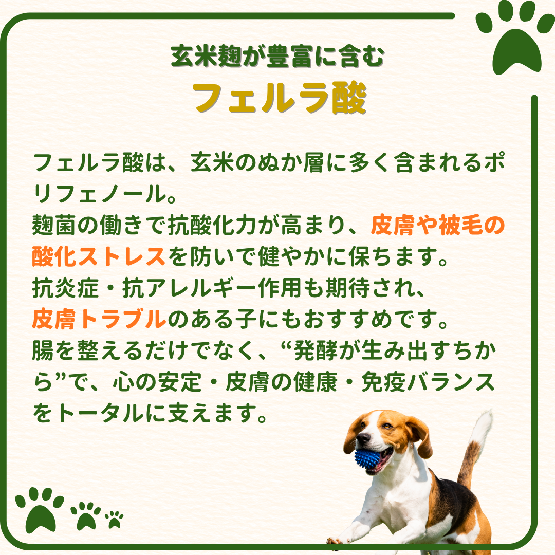 玄米麹100%天然サプリメント