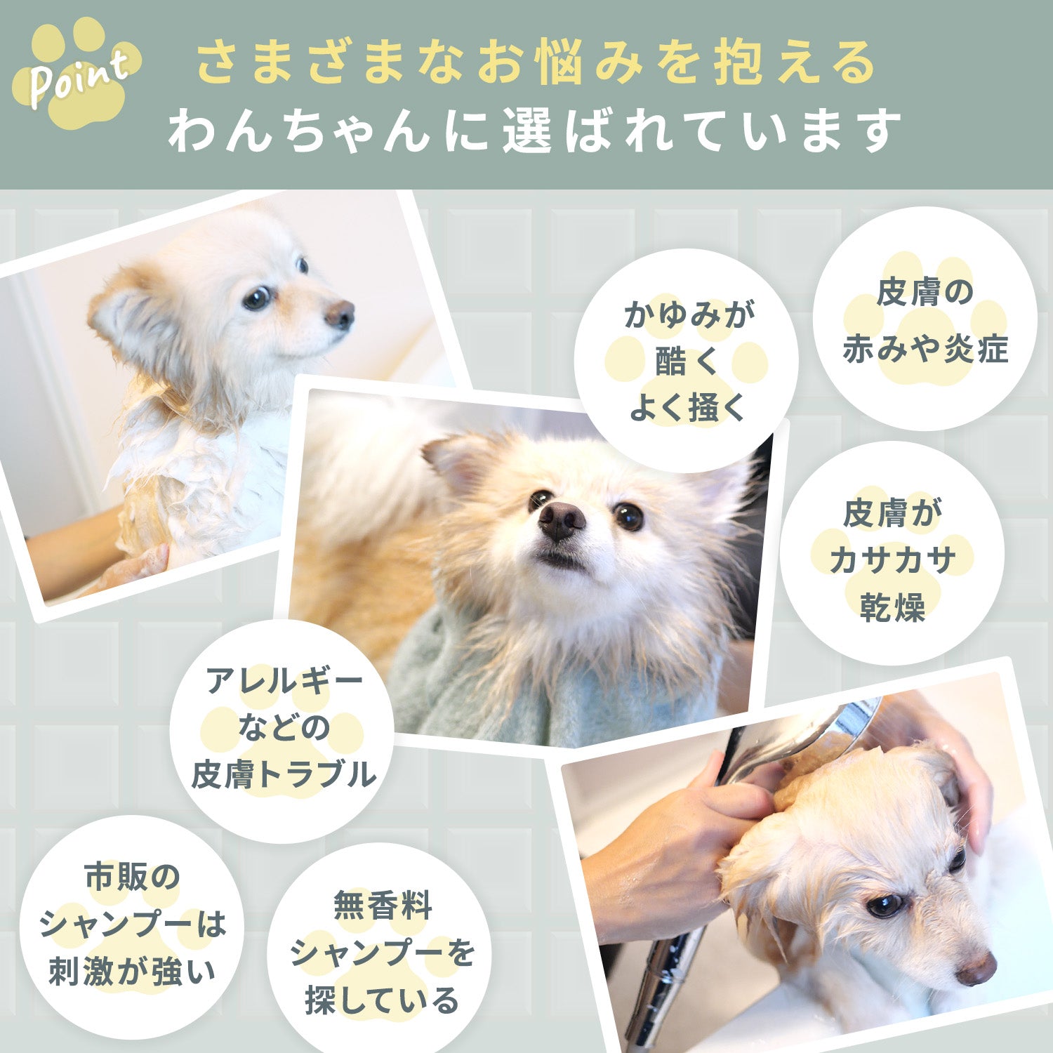 ベイブケア ナチュラルシャンプー