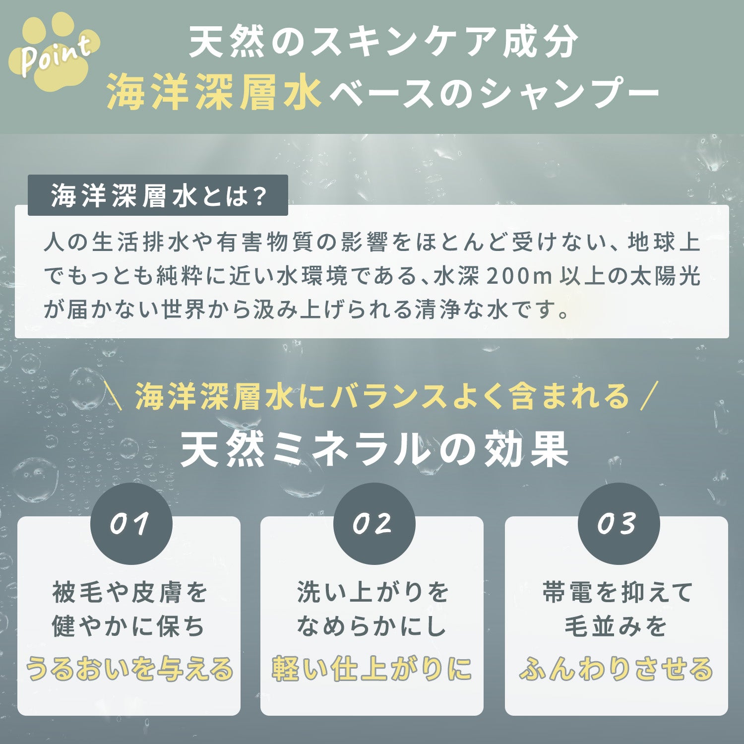 ベイブケア ナチュラルシャンプー