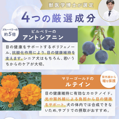 目のケアサプリメント