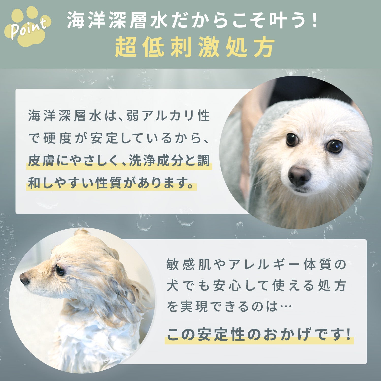 ベイブケア ナチュラルシャンプー